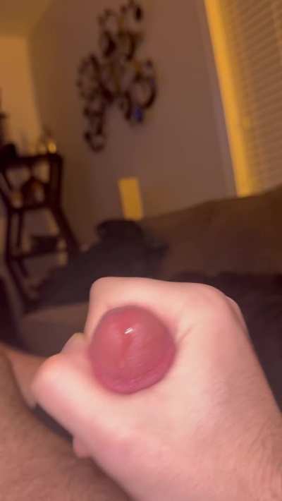 Cumshot GIF by jd2110