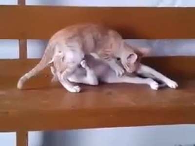 NSFW