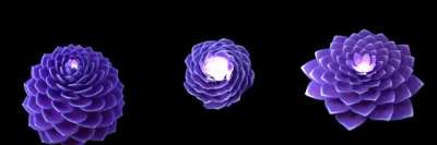 Procedural Blossoming Flowers