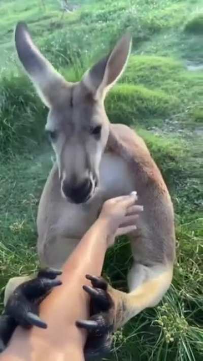nope - Video #6176
