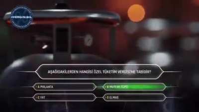 Vergini Bil Yarışması