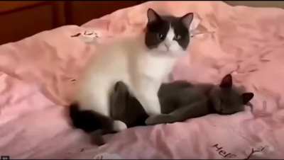 Thanks, I hate my laundry day again