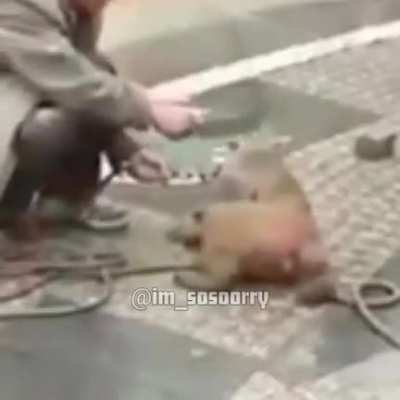 A peaceful act