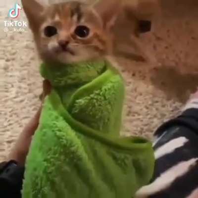 the cheek off this kitty