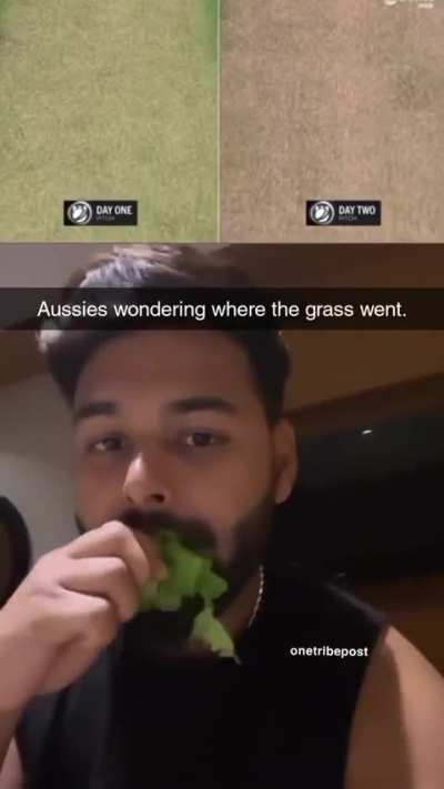 Vegan diet 