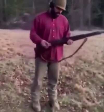 Basically Harmless!
