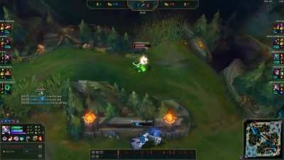 "Yuumi mains are afk bots" the bots are learning.
