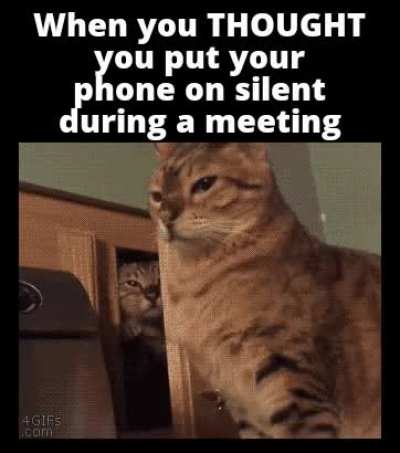 Every damn time