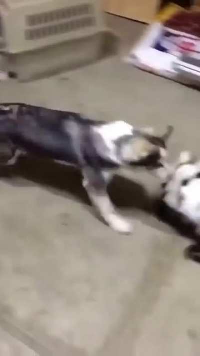 I hope this isn't a repost