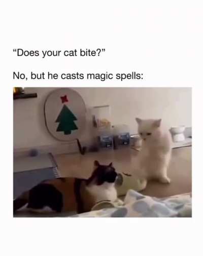Kitty Potter