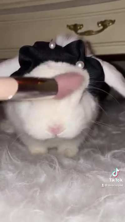 We were bored so we made a TikTok of me doing her makeup 🎀
