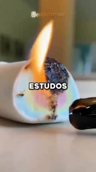 Curioso