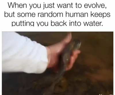 You can't stop the evolution.