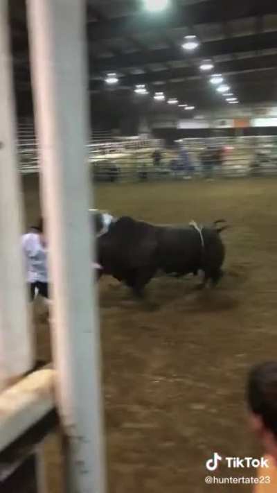 Caption said "Started a good bullride last night then things went south real quick!"