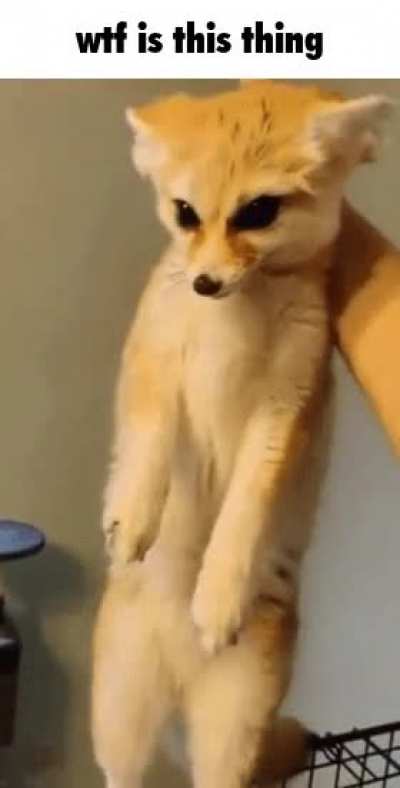 when