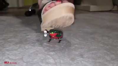 Milady ~ nasty ~ pescura stomper