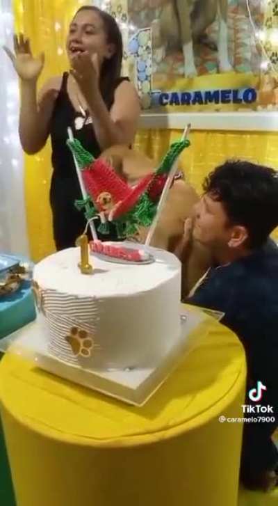 Dog's birthday