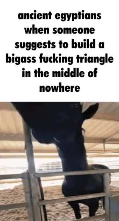 Stupid idea