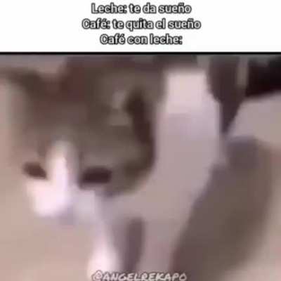 Nombre de la canci&oacute;n Brain Power
