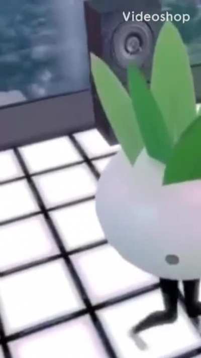 Turnip: turnip