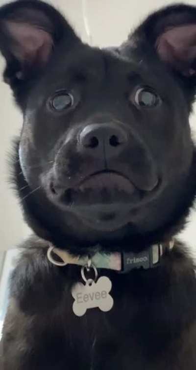 &lsquo;I&rsquo;m sorry I have to do this...&rsquo;