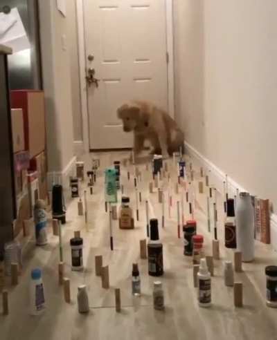 Obstacle Course