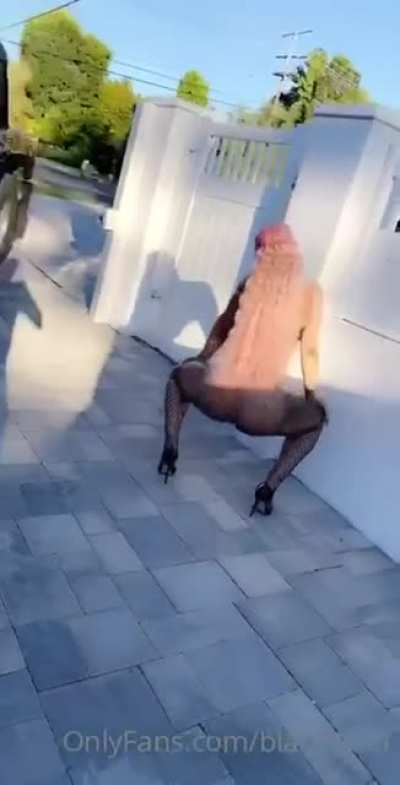 blacchyna