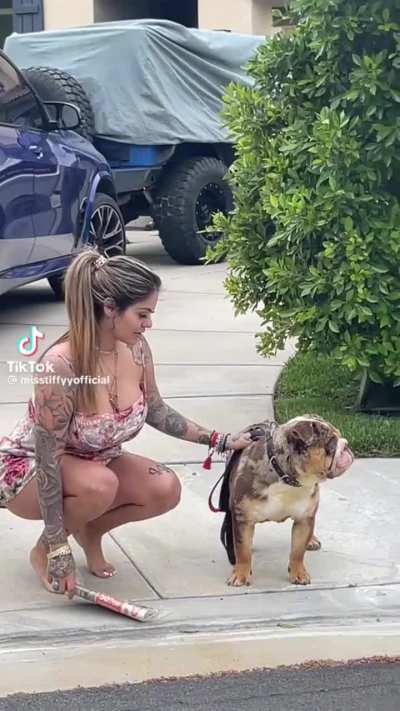MF