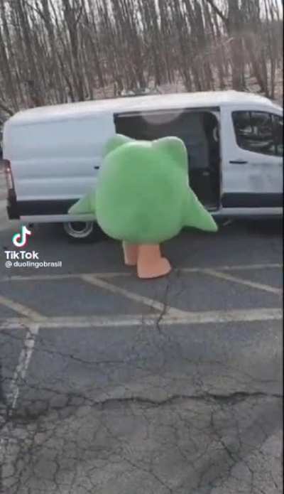 nothing to see here