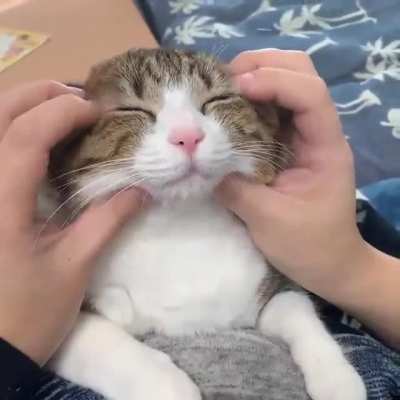 Massage Time