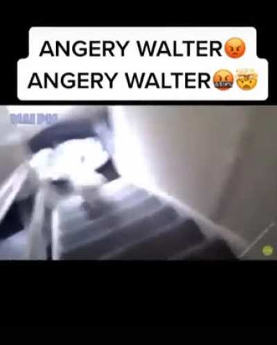 Walt r