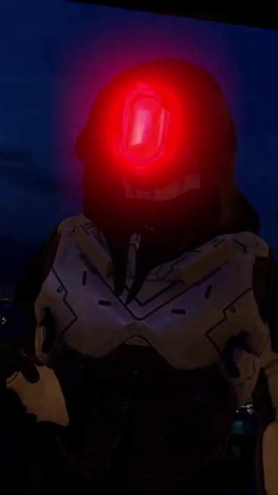 Master Chief, you mind telling me why you&rsquo;re a cat?