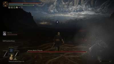 Malenia, 14 second kill, SL 150