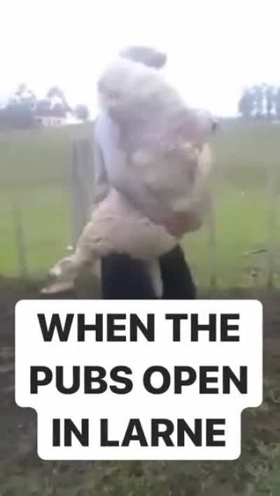 Let&rsquo;s all laugh at Larne