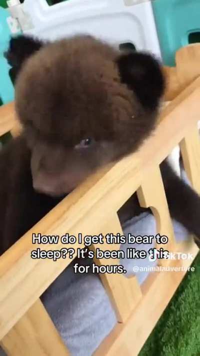 wunkus has insomnia 