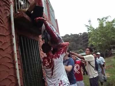 Mormon missionary attacked by a Lion in Guatemala City