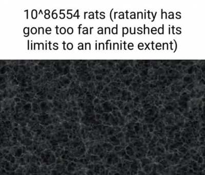 rat