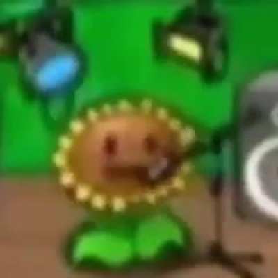 Baila bonito la flor