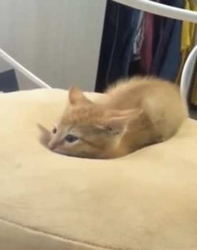 a smooth landing