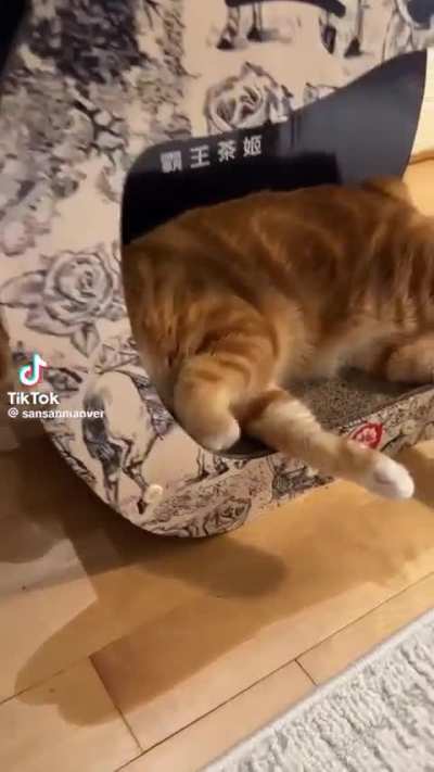 --- -.-- .