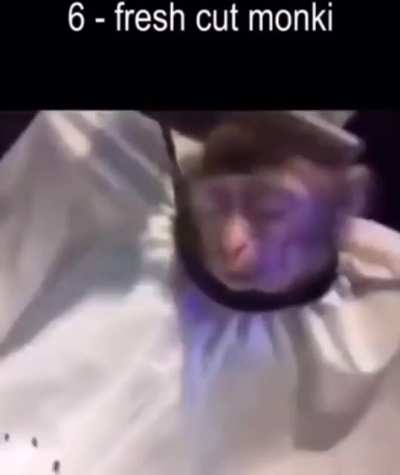 MAMACO