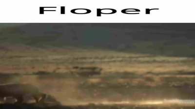 Floper