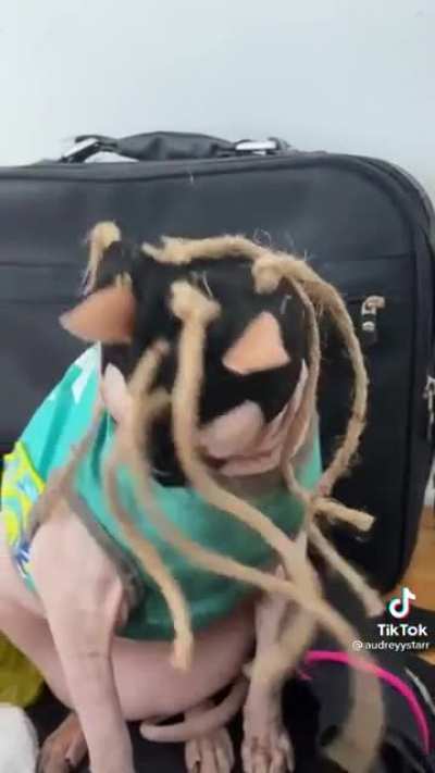 Saw this video and couldn&rsquo;t stop laughing for a good while, figured I&rsquo;d share.