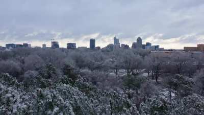 Powdered Sugar on the City of Oaks