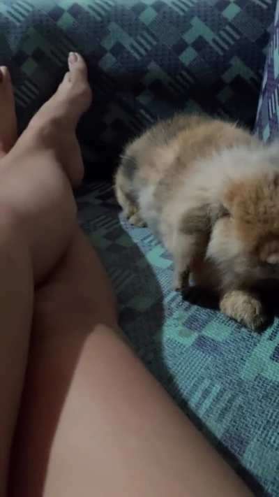 💗