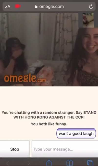 Got really nice laughs out of these 2 latinas