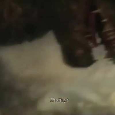 dont