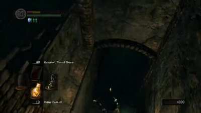 My first "Thank you Dark Souls" moment
