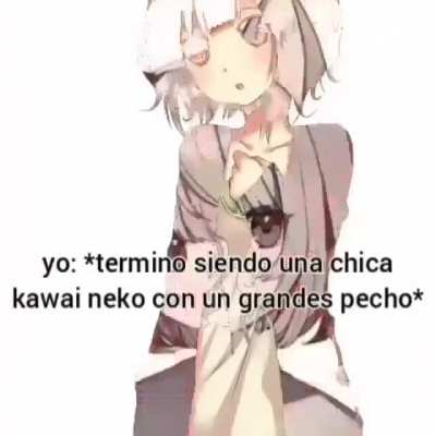 Yo: *Termino siendo una chica Kawai neko con un grandes pechos*