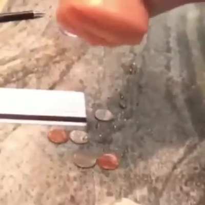 Portable Wallet